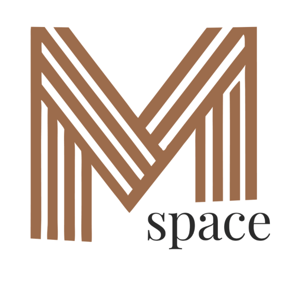 MSpace logo — colored